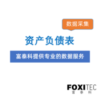 数据采集：【季度业绩报表】资产负债表